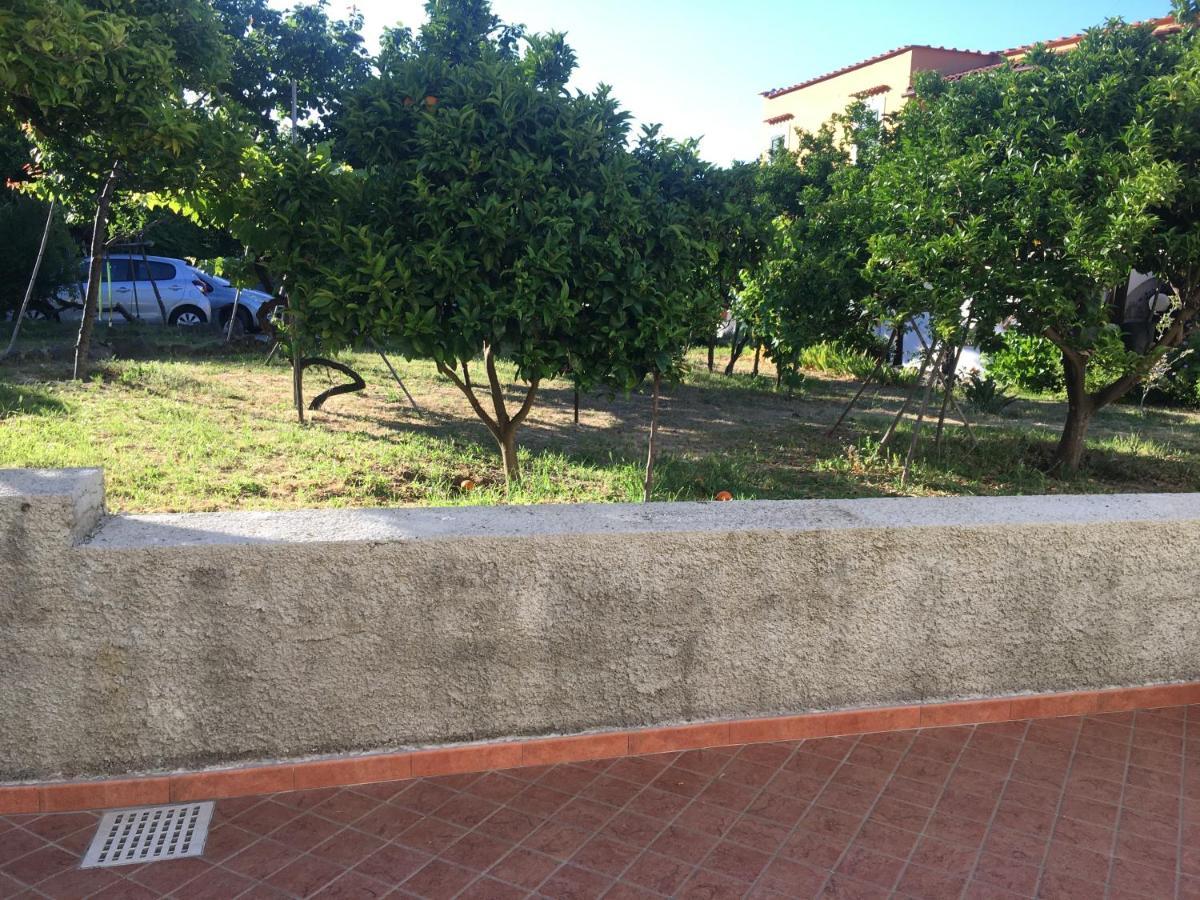 La Finestra Sul Giardino Apartment อีสเกีย ภายนอก รูปภาพ
